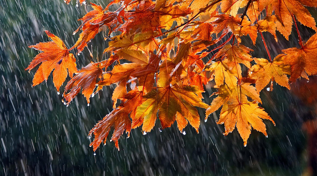 How to Prevent and Relieve Dizziness and Headaches Caused by Autumn Temperature Swings