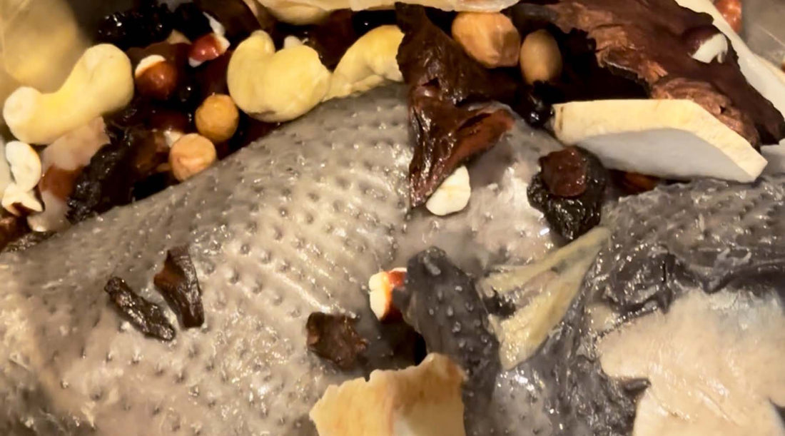 Easy Black Chicken Soup Recipe for Fall & Winter｜Hong Kong–Style Comfort 何首烏烏雞湯食譜｜秋冬暖身家常湯｜簡單易煮港式烏雞湯（附影片）