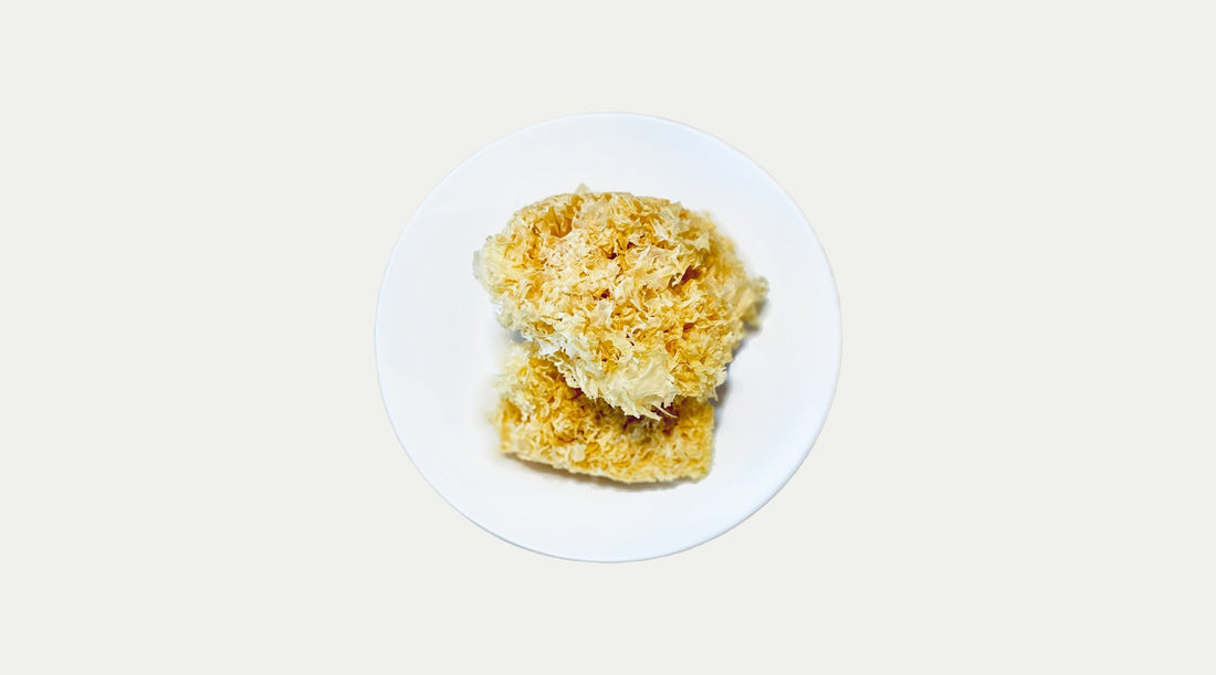 Edible Bird's Nest for the Common People - Snow Fungus