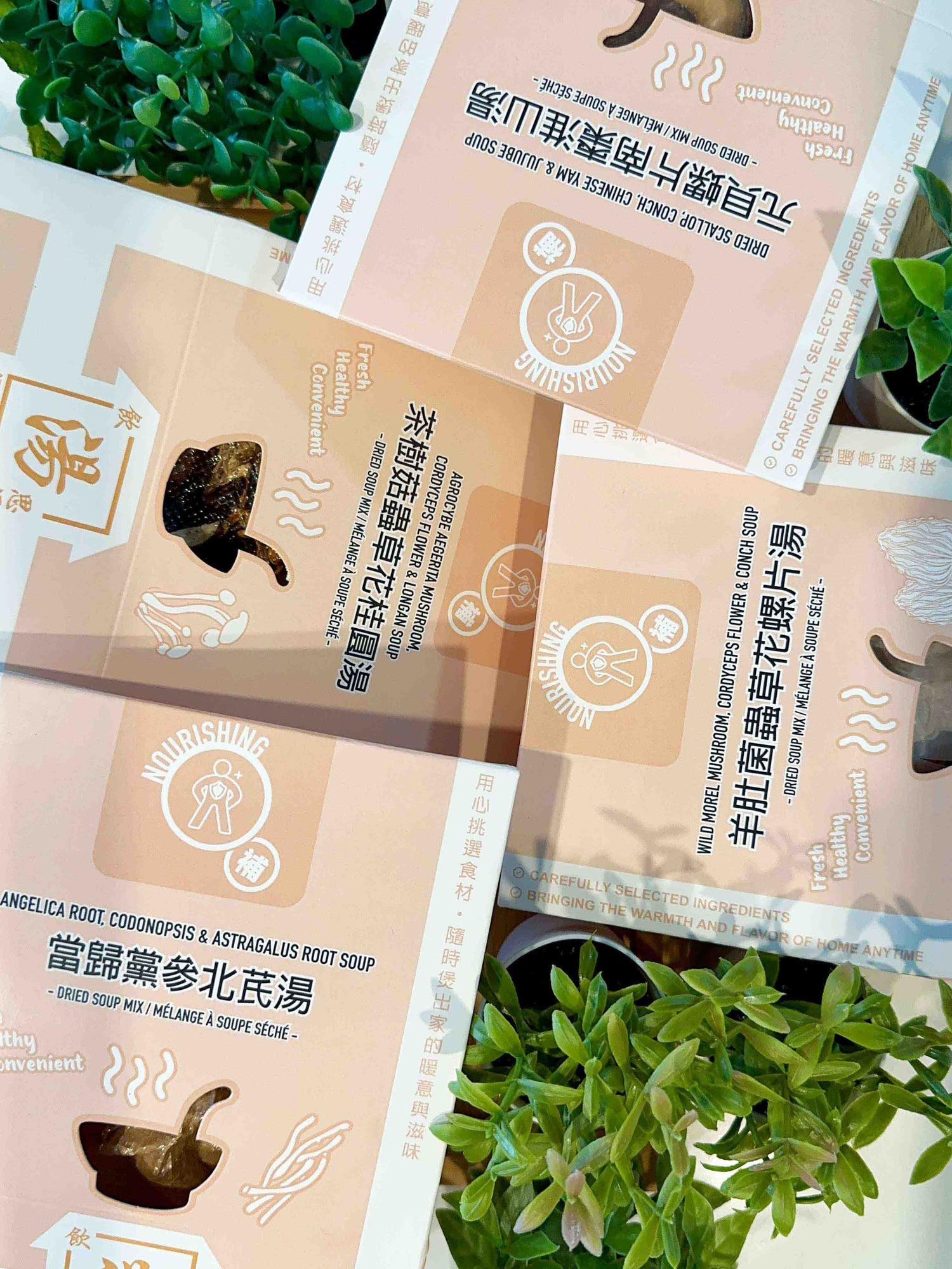 Nourishing Series herbal soup packs — 當歸黨參北芪湯、茶樹菇蟲草花桂圓湯、羊肚菌蟲草花螺片湯、元貝螺片南棗淮山湯 displayed with green plants. 飲湯思源滋補系列湯包平拍。