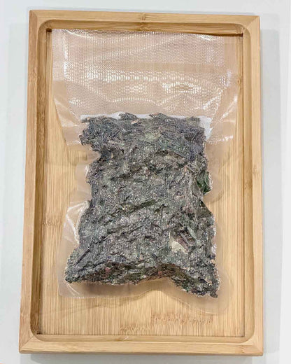 Vacuum-sealed pack of dried Mulberry Mistletoe (Sang Ji Sheng), a Chinese herbal ingredient for soups and herbal drinks. 真空包裝的桑寄生乾料食材，用於港式湯水及中式草本茶飲。
