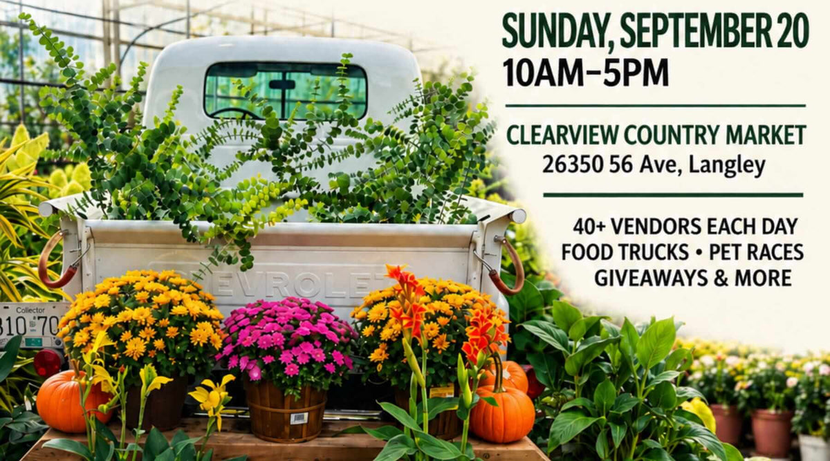 Clearview Country Market